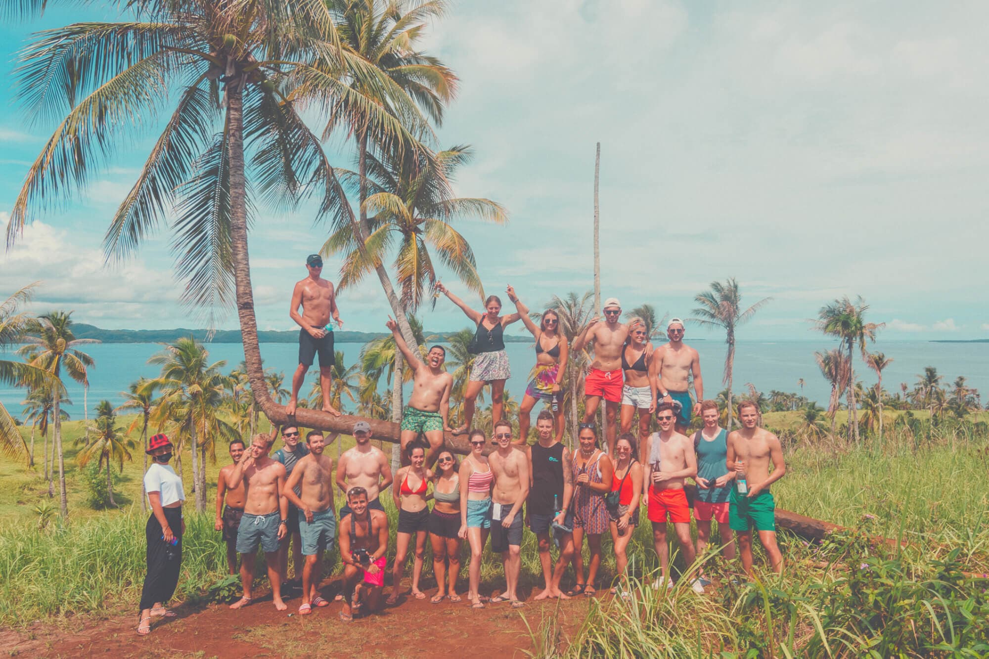 A large group of travellers together under palm trees on an island headland